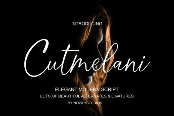 Cutmelani Font Review: Elevating Web Design with Modern Script