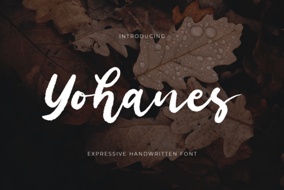 Elevate Campaign Visuals with the Yohanes Typeface